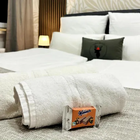 Rema Homes - Dachgeschoss Klima 3x Queen-size Balkon Kueche Tv * Bad Bellingen